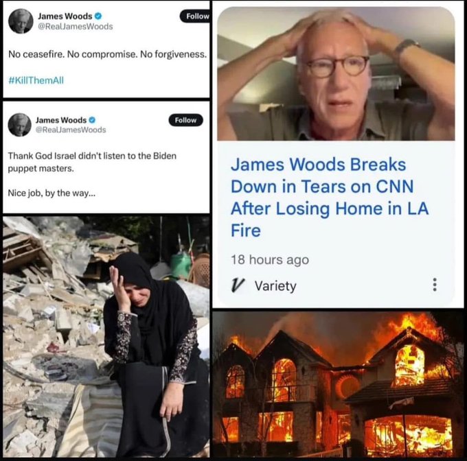 Netizen bandingkan kebakaran Los Angeles dengan genosida Gaza 3 james wood