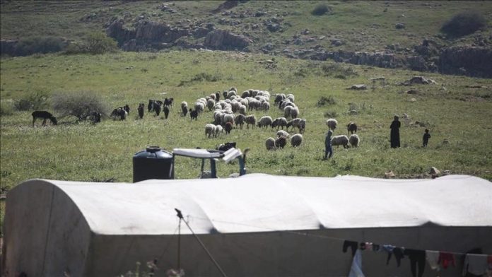 Sumber: Anadolu Agency