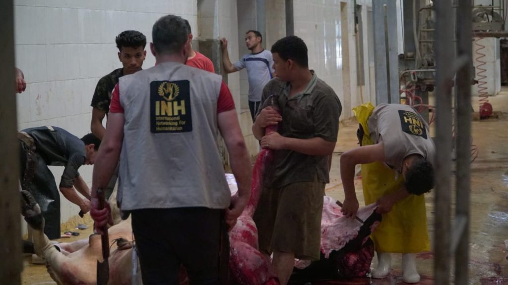 Baznas dan INH salurkan 163 hewan kurban untuk warga Gaza Palestina 3 inh gaza kurban