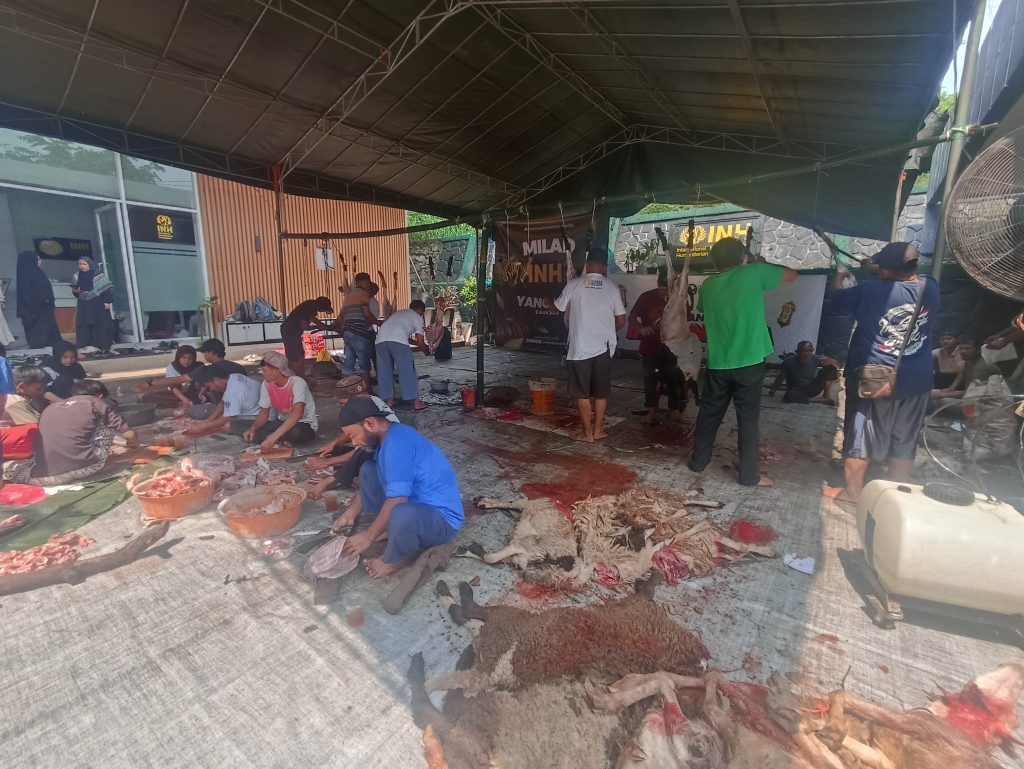 Serentak di 14 negara, INH salurkan kurban dan sedekah kurban bertajuk “Berkah Kurban Menjangkau Dunia” 3 kurban