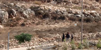 HRW dan Amnesty Desak Uni Eropa Hentikan Perdagangan dengan Permukiman Israel